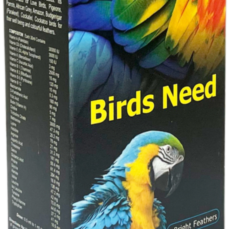 BIRDS NEED